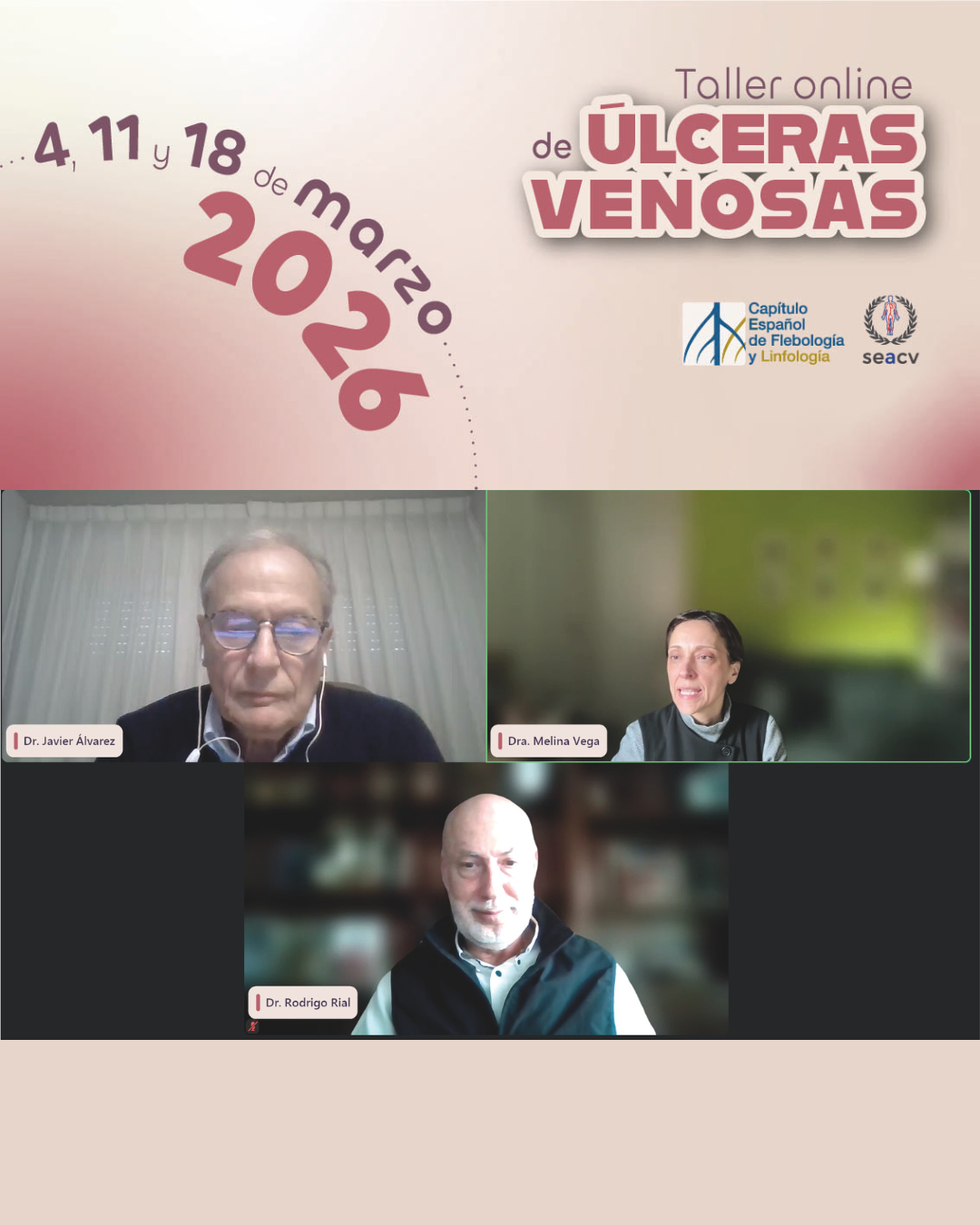 Participación como docente en el Taller Online sobre Úlceras Venosas 2026